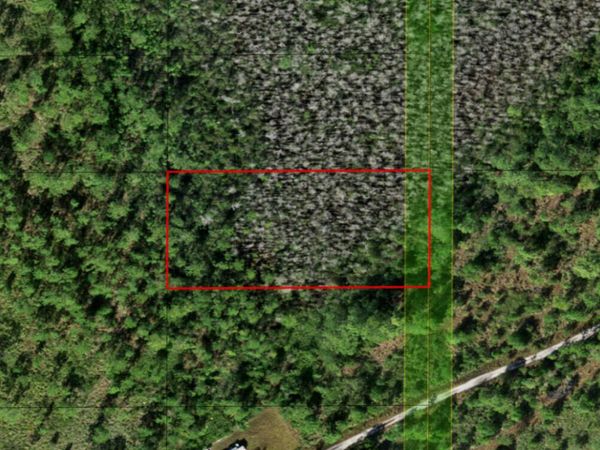 0 Holopaw Groves Road, St. Cloud, FL 34772