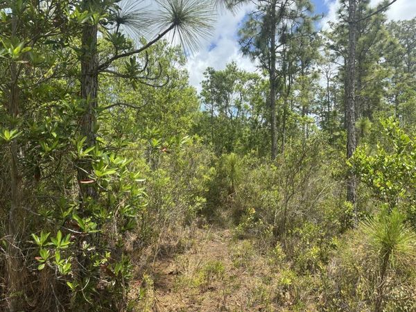 0 Holopaw Groves Road, St. Cloud, FL 34772