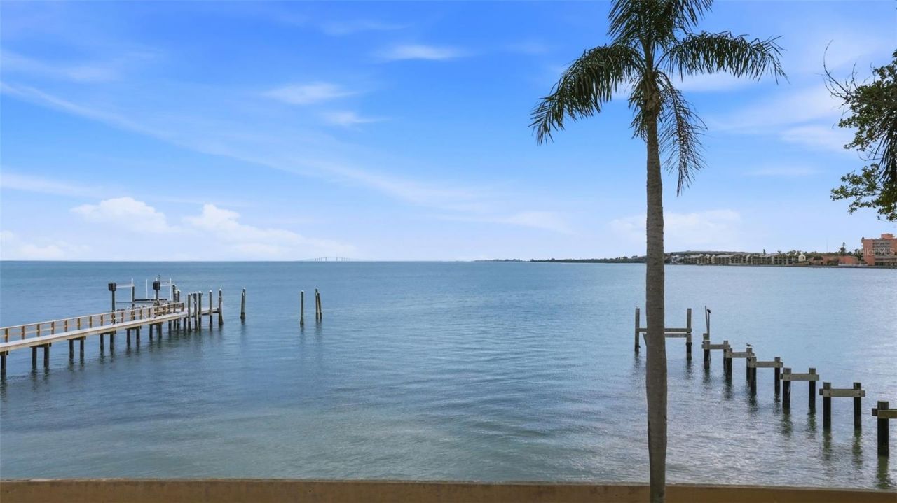 6754 31st Street S, Saint Petersburg, FL 33712 Photo