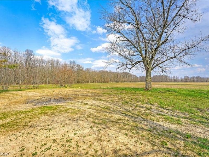 9509 Reed Road, Columbia Station, OH 44028 Photo 33