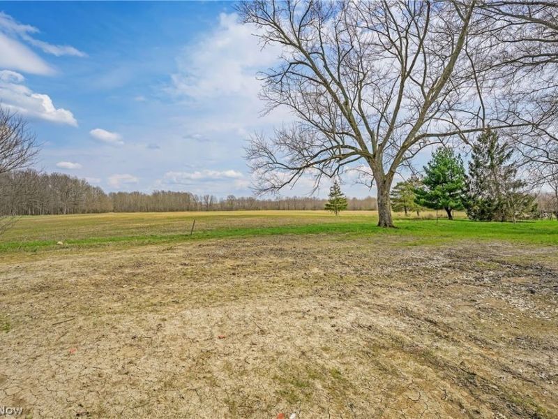 9509 Reed Road, Columbia Station, OH 44028 Photo 34