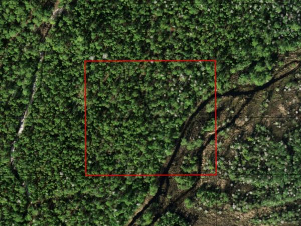 0 Holopaw Groves Road, St. Cloud, FL 34772