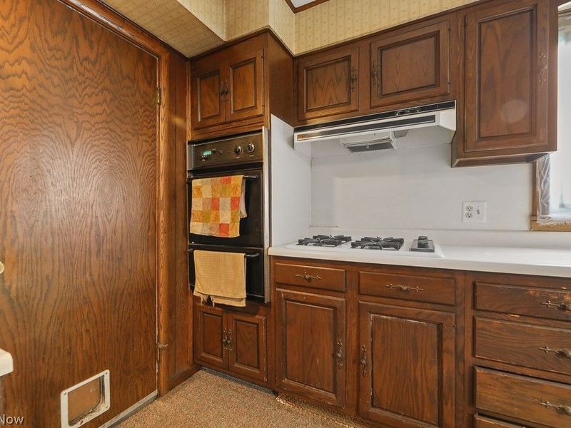 237 W Chestnut Street, Lisbon, OH 44432 Photo 10