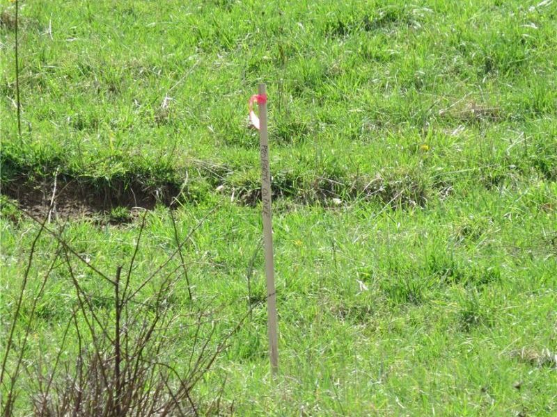 Fink Road, Kensington, OH 44427 Photo 13