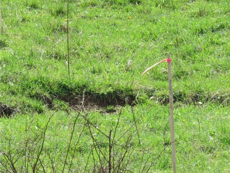 Fink Road, Kensington, OH 44427 Photo 14