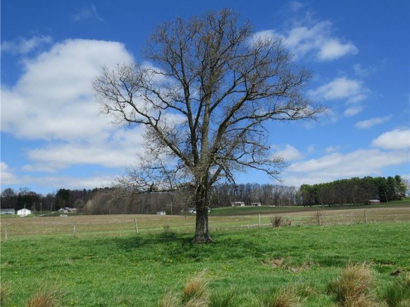 Fink Road, Kensington, OH 44427 Photo 16