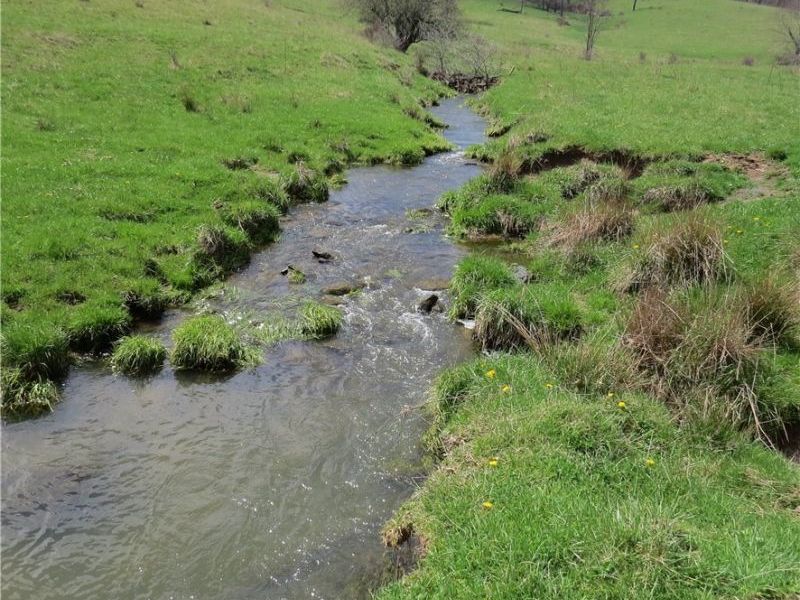 Fink Road, Kensington, OH 44427 Photo 18