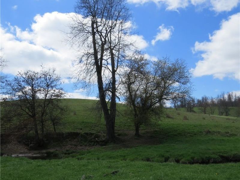 Fink Road, Kensington, OH 44427 Photo 20