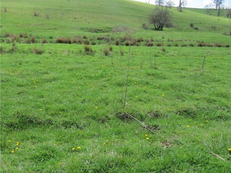 Fink Road, Kensington, OH 44427 Photo 21