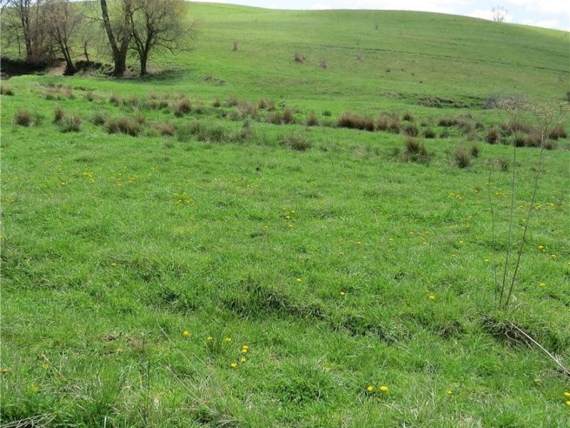 Fink Road, Kensington, OH 44427 Photo 22