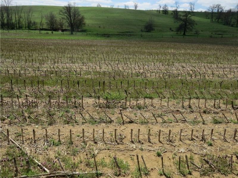 Fink Road, Kensington, OH 44427 Photo 5