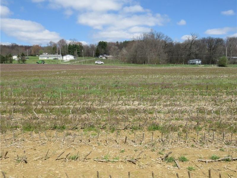 Fink Road, Kensington, OH 44427 Photo 6