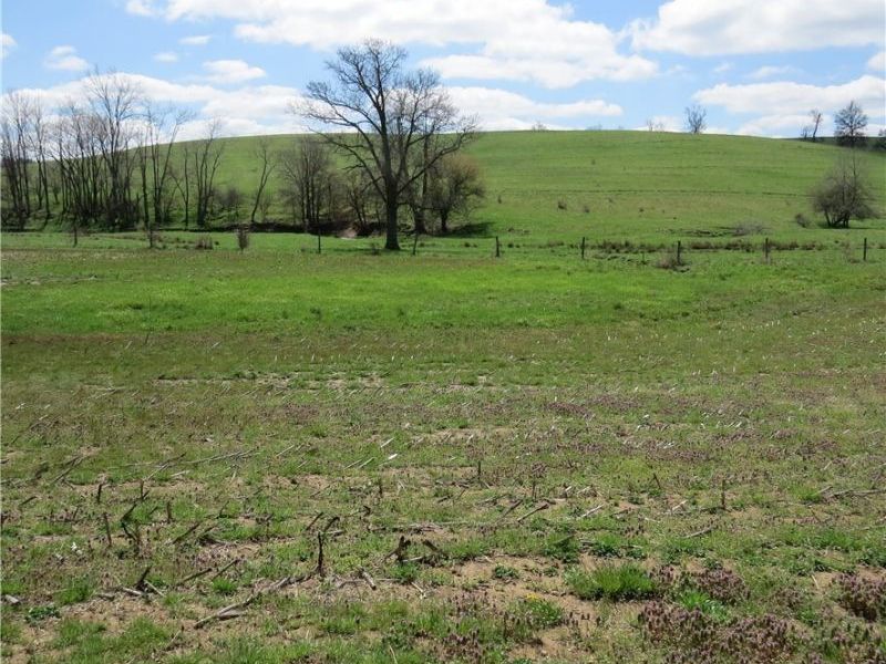 Fink Road, Kensington, OH 44427 Photo 7