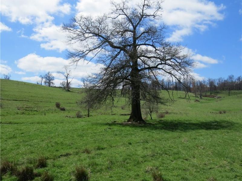 Fink Road, Kensington, OH 44427 Photo 8