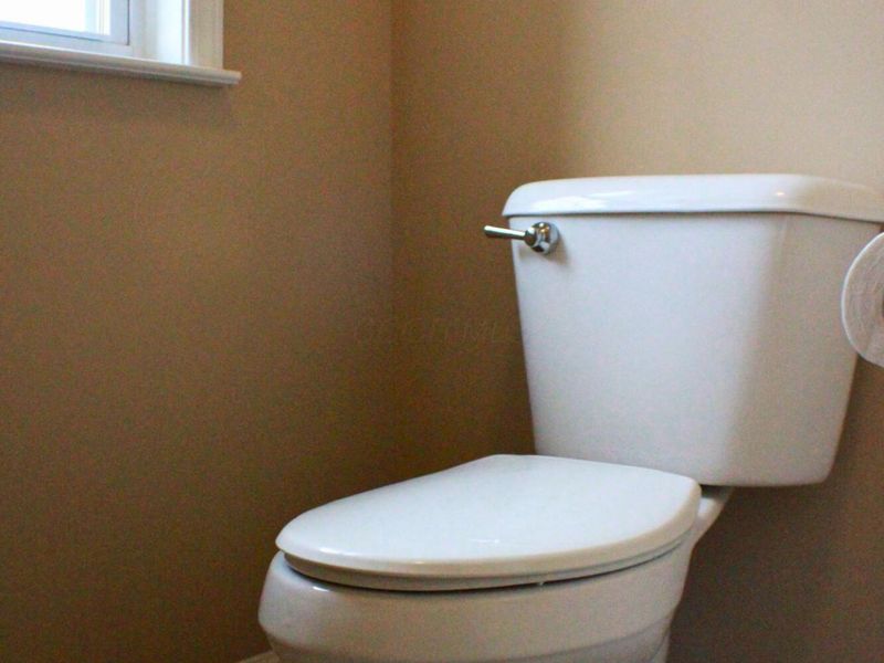 162 Edmonds Drive, Commercial Point, OH 43116 Photo 40