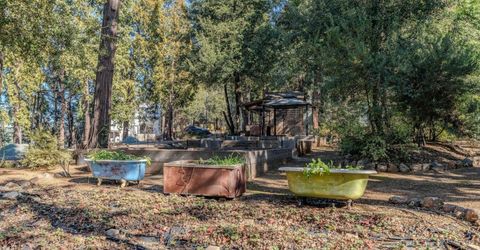 24985 Shake Ridge Rd, Volcano, CA 95689 Photo
