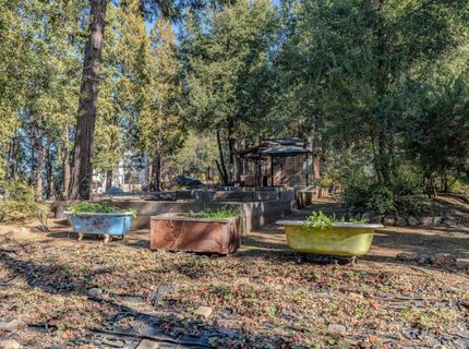24985 Shake Ridge Rd, Volcano, CA 95689 Photo