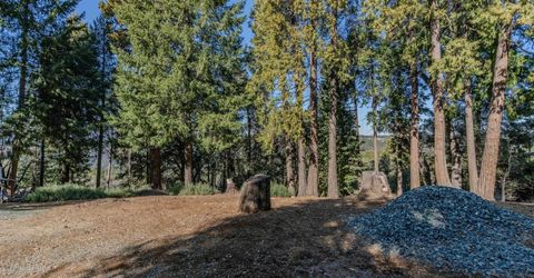 24985 Shake Ridge Rd, Volcano, CA 95689 Photo