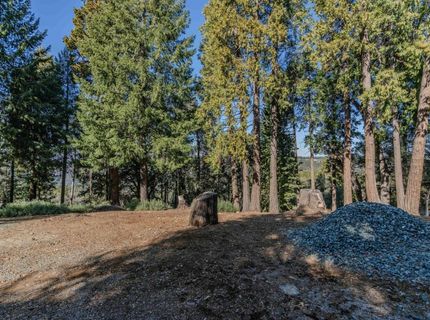 24985 Shake Ridge Rd, Volcano, CA 95689 Photo