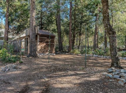24985 Shake Ridge Rd, Volcano, CA 95689 Photo