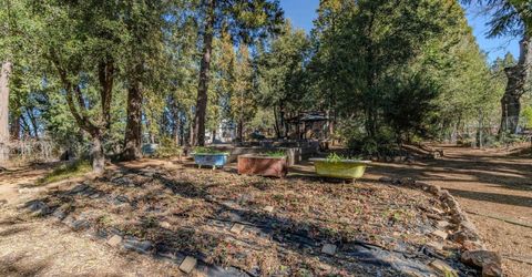 24985 Shake Ridge Rd, Volcano, CA 95689 Photo
