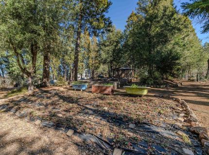 24985 Shake Ridge Rd, Volcano, CA 95689 Photo