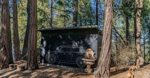 24985 Shake Ridge Rd, Volcano, CA 95689 Photo