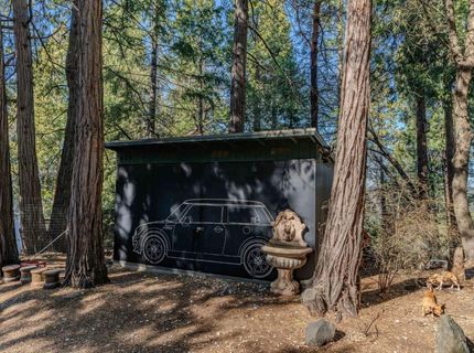 24985 Shake Ridge Rd, Volcano, CA 95689 Photo