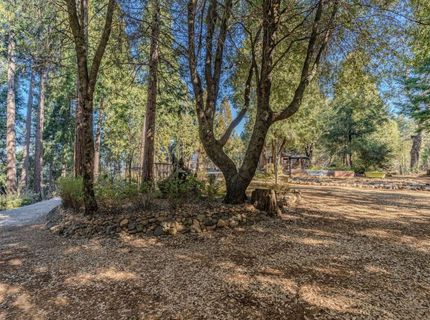 24985 Shake Ridge Rd, Volcano, CA 95689 Photo