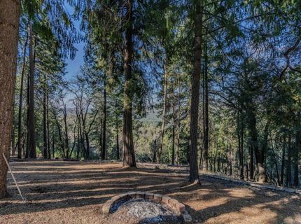 24985 Shake Ridge Rd, Volcano, CA 95689 Photo