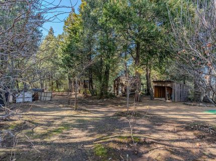 24985 Shake Ridge Rd, Volcano, CA 95689 Photo