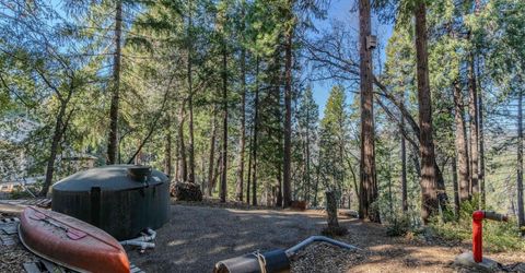 24985 Shake Ridge Rd, Volcano, CA 95689 Photo
