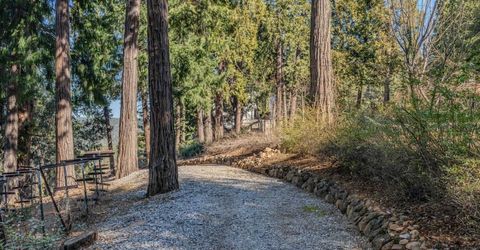 24985 Shake Ridge Rd, Volcano, CA 95689 Photo