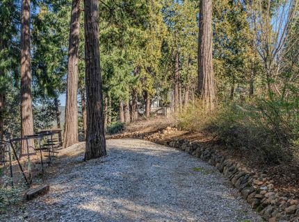 24985 Shake Ridge Rd, Volcano, CA 95689 Photo