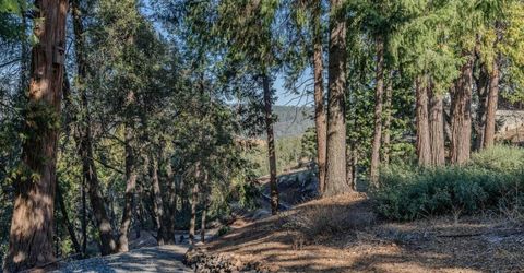 24985 Shake Ridge Rd, Volcano, CA 95689 Photo