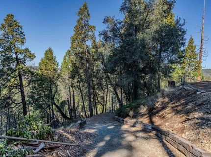 24985 Shake Ridge Rd, Volcano, CA 95689 Photo