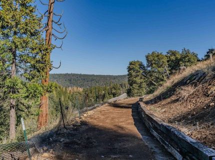 24985 Shake Ridge Rd, Volcano, CA 95689 Photo