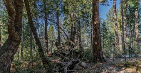 24985 Shake Ridge Rd, Volcano, CA 95689 Photo