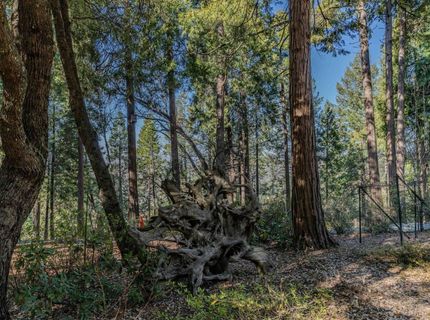24985 Shake Ridge Rd, Volcano, CA 95689 Photo