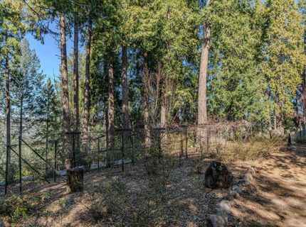 24985 Shake Ridge Rd, Volcano, CA 95689 Photo