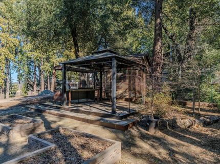 24985 Shake Ridge Rd, Volcano, CA 95689 Photo