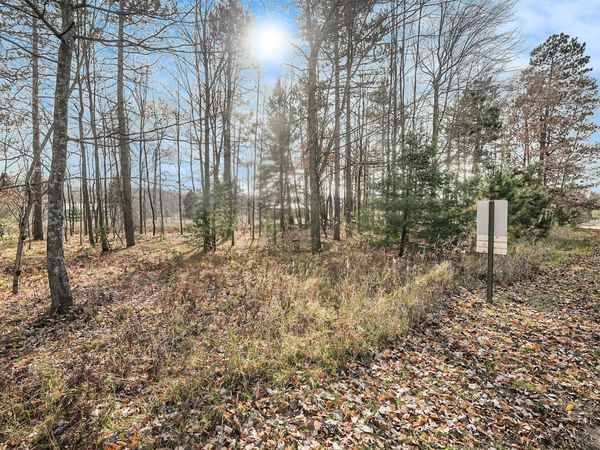 12215 Lila Court, Stanwood, MI 49346