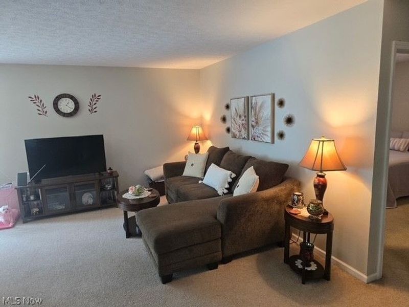 313 Breckenridge Oval, Elyria, OH 44035 Photo 10