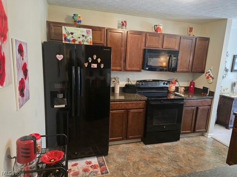 313 Breckenridge Oval, Elyria, OH 44035 Photo 5