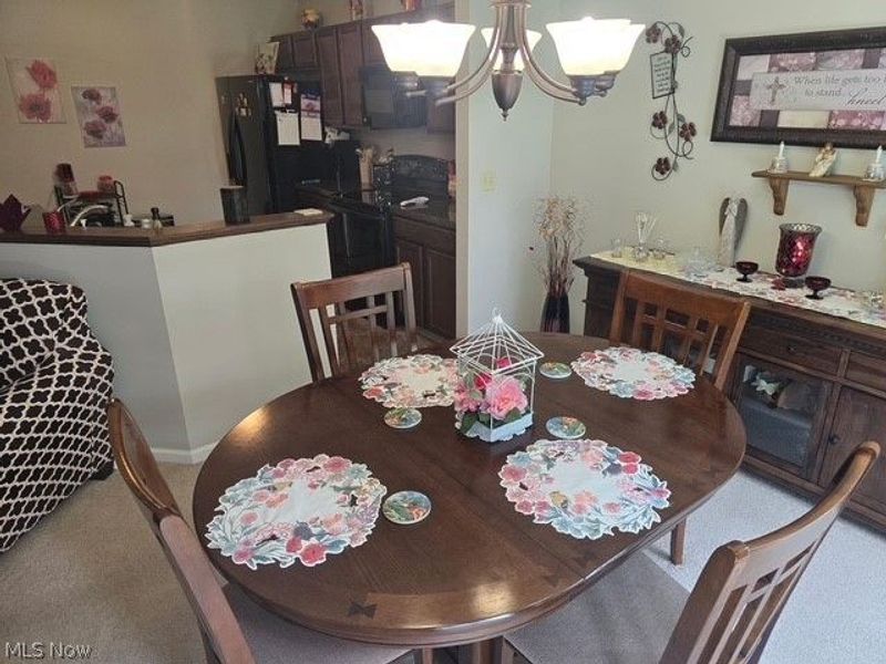 313 Breckenridge Oval, Elyria, OH 44035 Photo 7