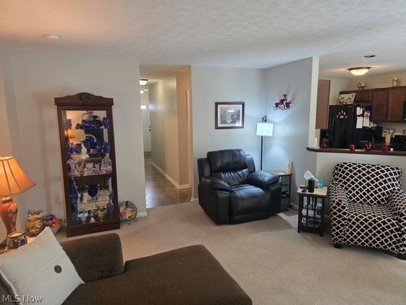 313 Breckenridge Oval, Elyria, OH 44035 Photo 9