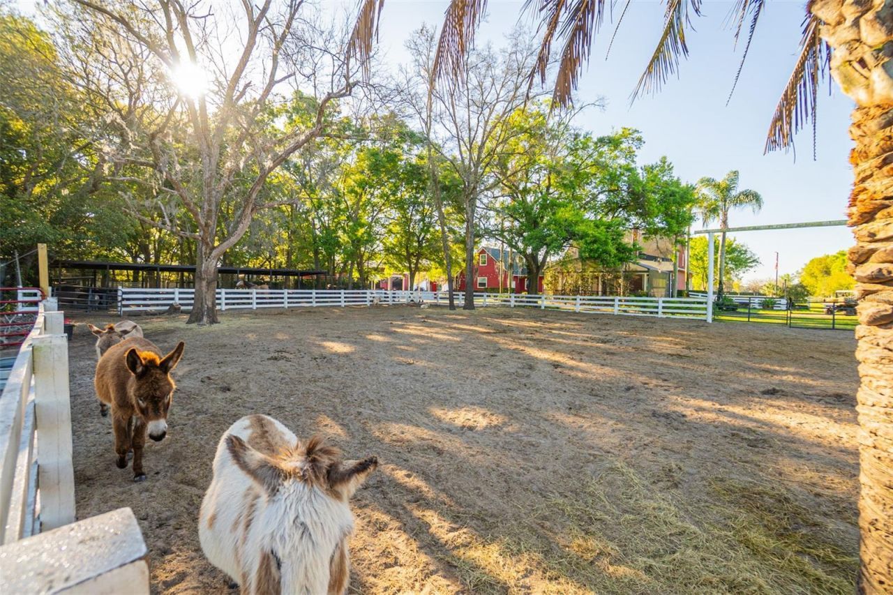 280 Campbell Ranch Run, Geneva, FL 32732 Photo