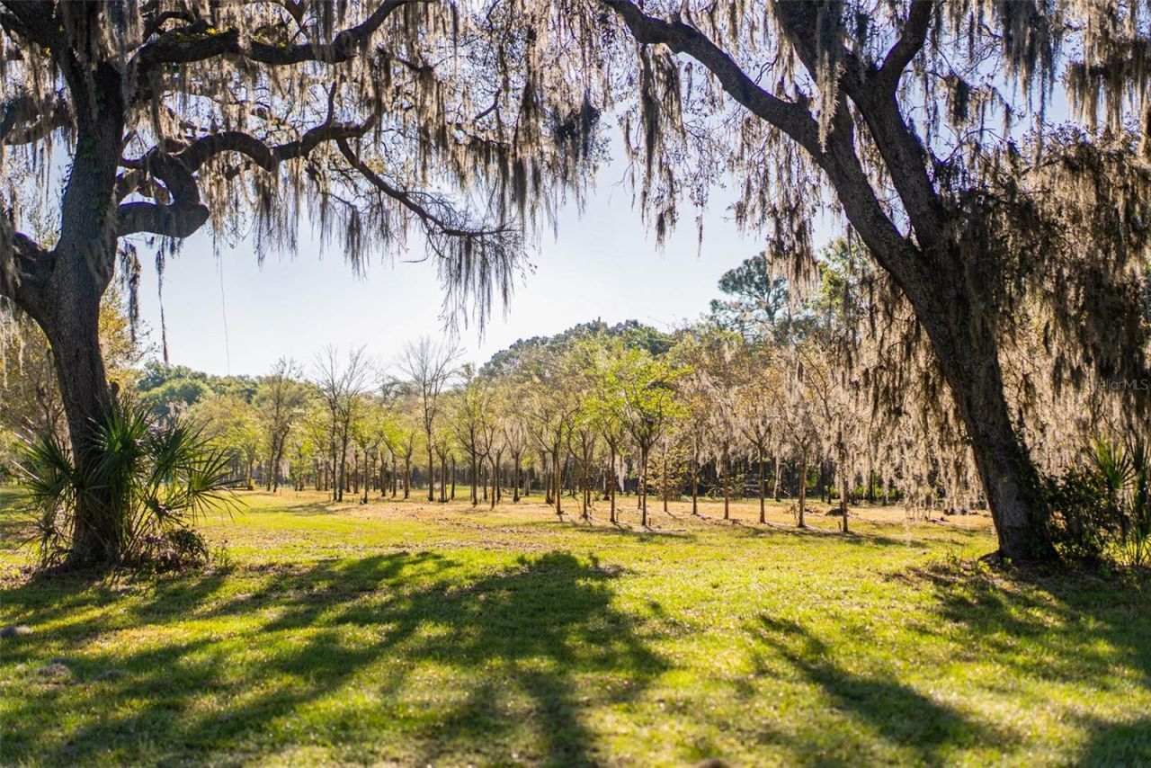 280 Campbell Ranch Run, Geneva, FL 32732 Photo