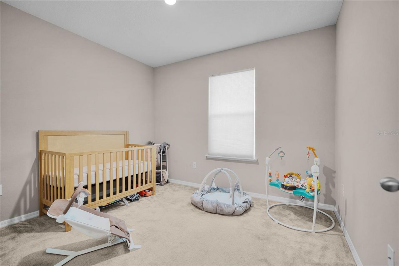 1328 Water Willow Drive, Groveland, FL 34736 Photo