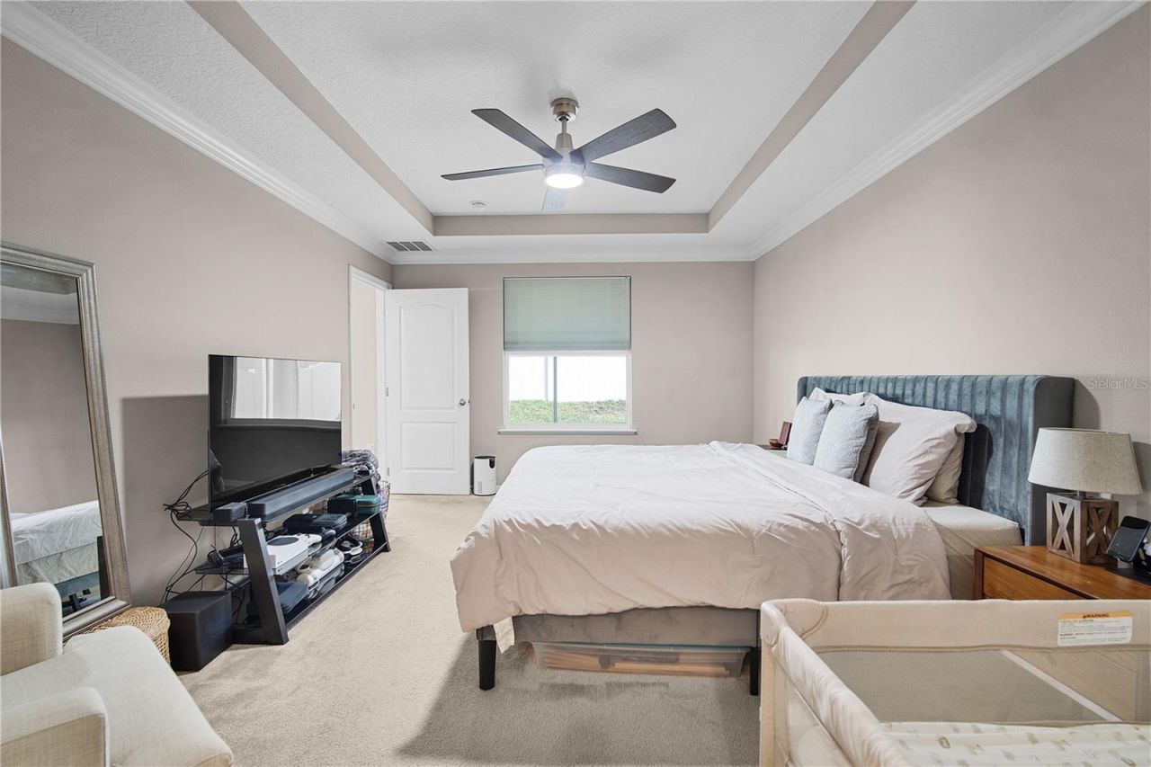 1328 Water Willow Drive, Groveland, FL 34736 Photo